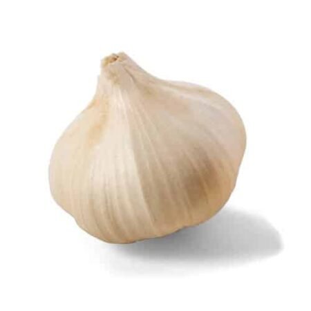 Česnakai
